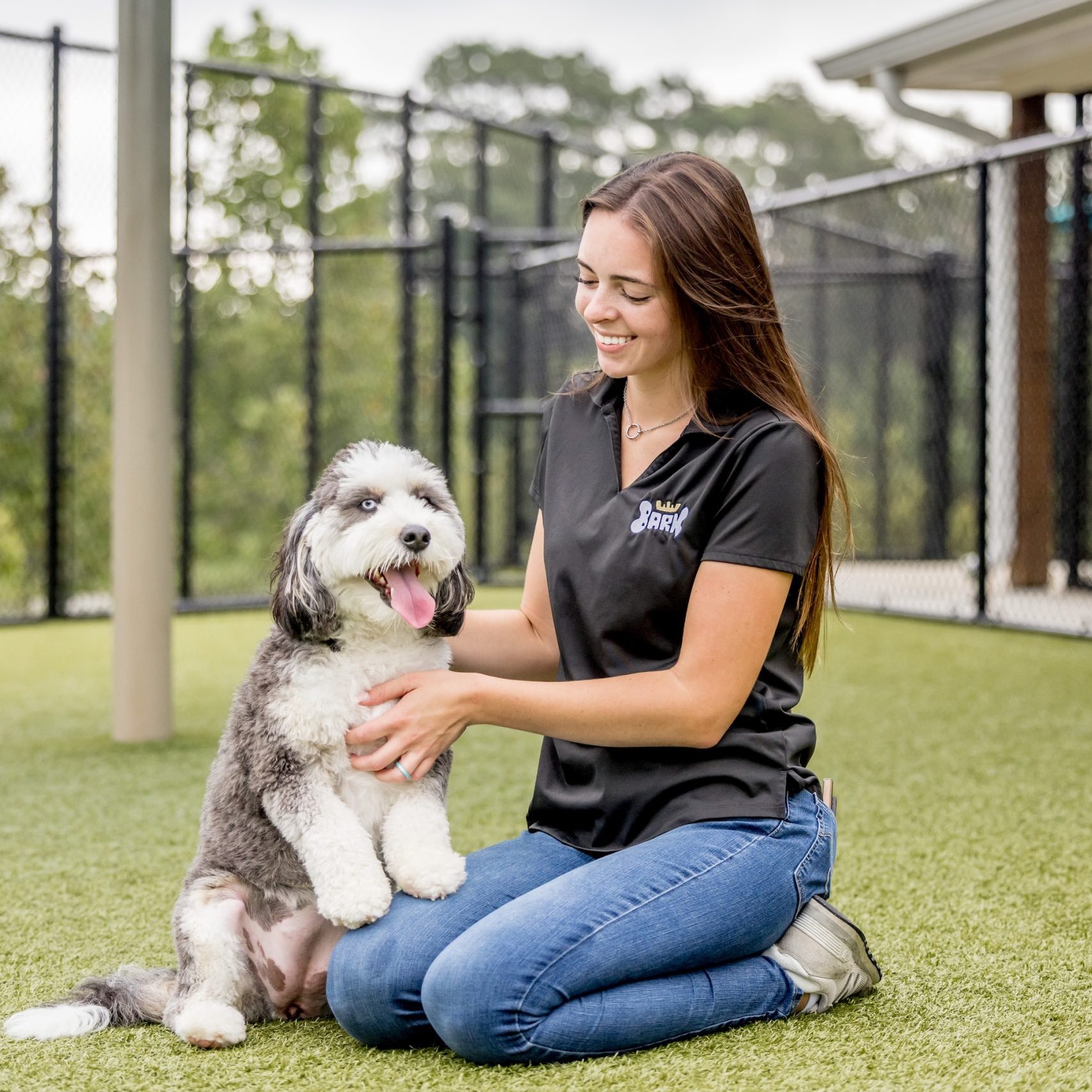 Ti Adoro Studios – Bark 2025-11-2